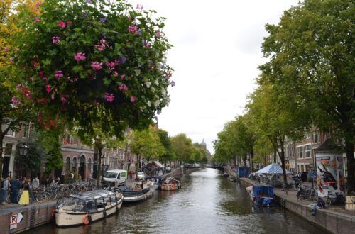 que hacer en amsterdam en 2 dias