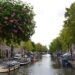que hacer en amsterdam en 2 dias